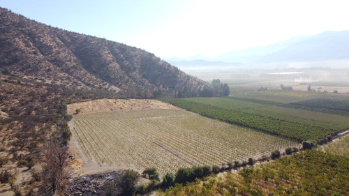 Campo Agrícola De 18 Ha, Sector Chada, Paine Id 50.595-cam