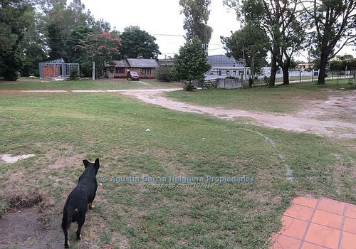 Terreno Con Casa