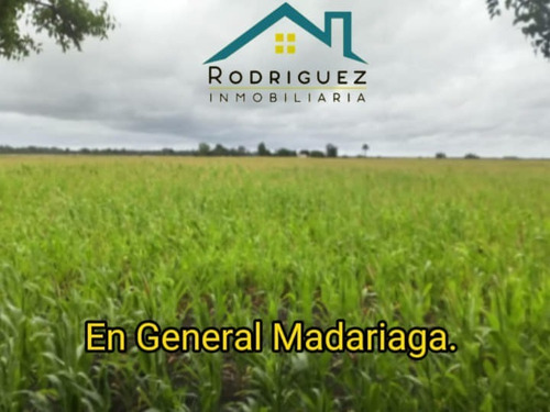 Imagen 2 de 8 de Campo 8 Hectáreas Las 3 Lomas En Gral: Madariaga