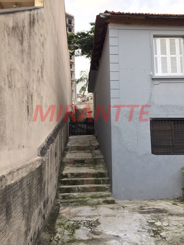 Imagem 2 de 12 de Terreno Em Vila Maria - São Paulo, Sp - 343526