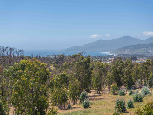 Sitio En Condominio Campo Viejo