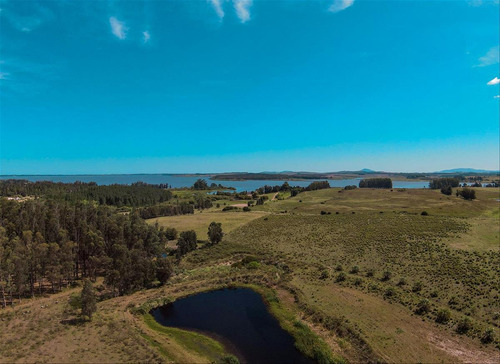 Venta Chacra Laguna Del Sauce Ruta 12 Punta Este 10 Ha