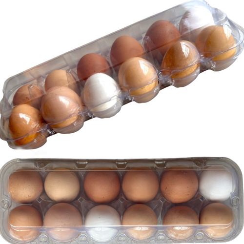Caixa Para 12 Ovos De Galinha  80 Embalagens Pentes Bandejas