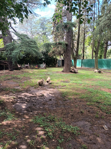 Guarderia Pensionado Canino
