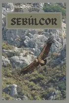 Comprar Cuaderno De Notas De Sebulcor, Segovia: Bloc De Notas Con Pa
