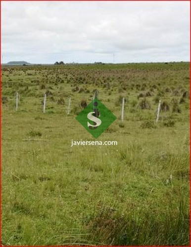 Venta De Campo En Treita Y Tres, 70 Hectareas Con Casa. - Ref: 168050