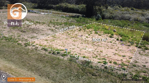 Imagen 3 de 6 de Terreno En Piriápolis (piriapolis) Ref. 5559