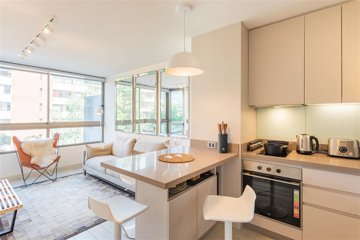 Imagen 1 de 30 de Departamento En Arriendo De 2 Dorm Amoblado En Providencia