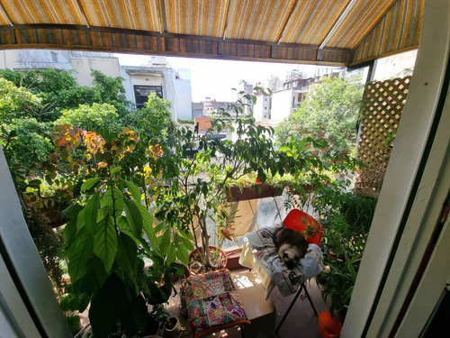 Imagen 13 de 15 de Departamento En Venta De 1 Dormitorio En Balvanera