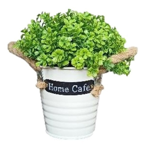 Planta Decorativa Con Base