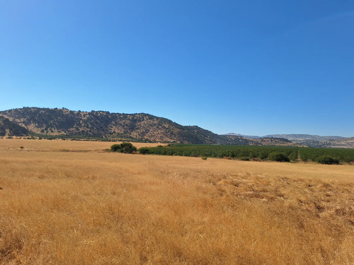 Venta De Campo Agrícola En Sagrada Familia 72.387-cam