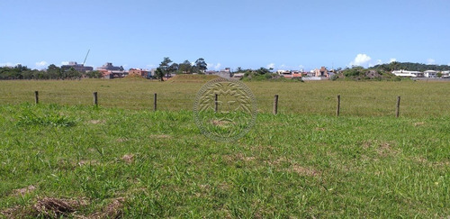 Imagem 6 de 15 de Terreno - Ribeirao Da Ilha - Ref: 2213 - V-2250