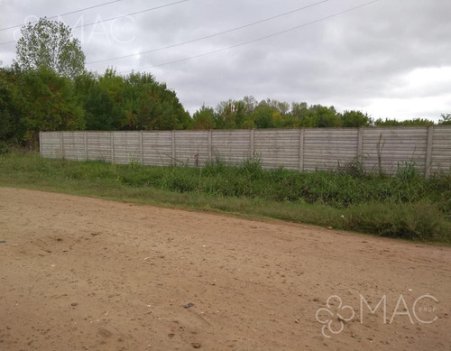 Imagen 4 de 12 de Venta Lote 2300m² | Zona Industrial Pilar (202210409)