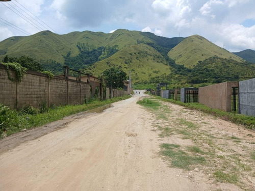 Galpón Industrial En Bárbula - Guacara En Venta -. Inmobiliaria Maggi 1694