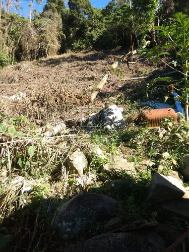 Imagem 11 de 15 de Terreno - Armacao Do Pantano Do Sul - Ref: 26833 - V-26832