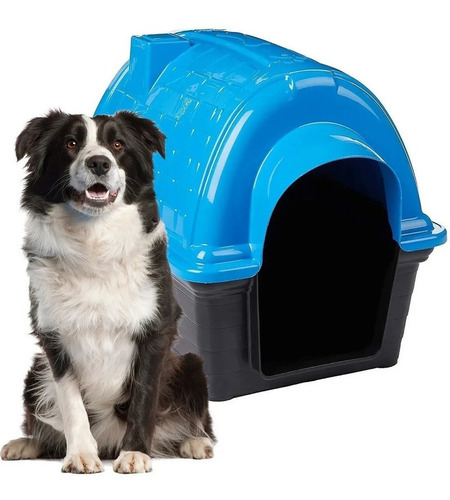 Casinha Iglu De Plástico Para Cães Furacão Pet Grande Nº 6 Nº 6 Azul
