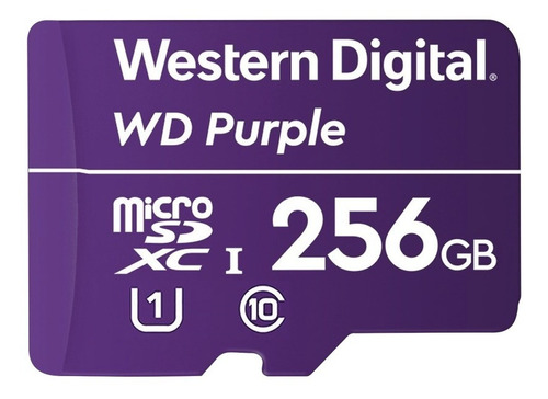 Memoria Microsd 256 Gb Purple Especializada Videovigilancia