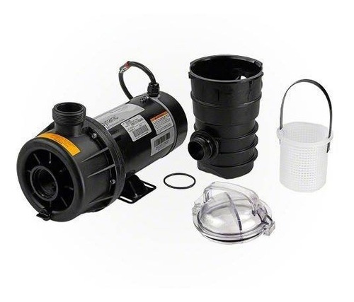 Bomba Para Piscina 3/4 Hp Pentair Dynamo Americana