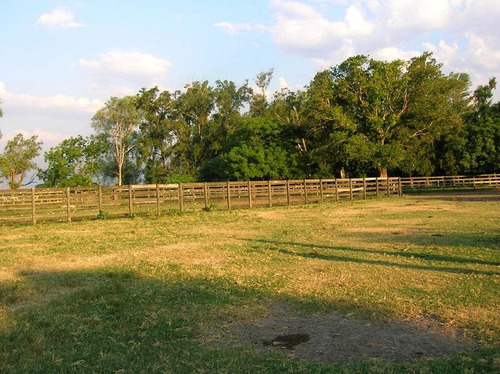 Campo En Venta - Chaco, Dpto Bermejo, Estancia Mongay, 5.700 Ha.