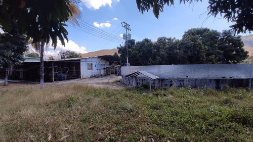 Imagen 8 de 30 de Joselyn Vargas Vende Finca Avicola En Vigirima 22-12944