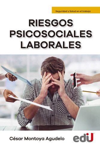 Riesgos Psicosociales Laborales