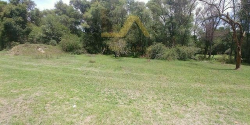 Imagen 1 de 11 de Terreno En Venta En Amaxac Tlaxcala.