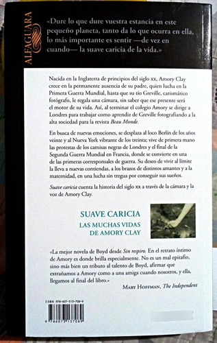 Suave Caricia: Las Muchas Vidas De Amory Clay - William Boyd (Usado)