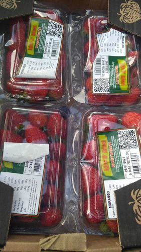 Imagem 2 de 3 de Frutas