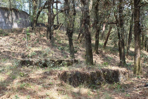 Imagen 8 de 8 de Terreno En Paraje Tetecuintla, Huitzilac, Morelos.