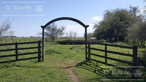 Imagen 6 de 22 de Chacra De 28 Has En Venta - Casco Y Producción