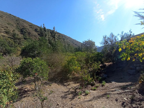 Hermosa Propiedad En Venta, El Maqui Olmué
