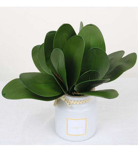 10 Unidades De Hojas Artificiales De Orquídea Phalaenopsis