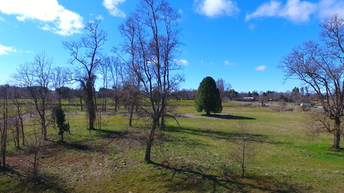 Parcela 5000 M2 Lago Ranco