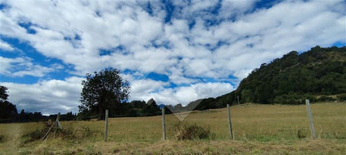 Parcela - 5.000 M2 Cada Una - Cascadas - Puerto Octay