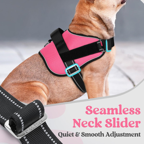 Arnés Para Perro Rabbitgoo Grande, Ajustable, No Tira, Xl