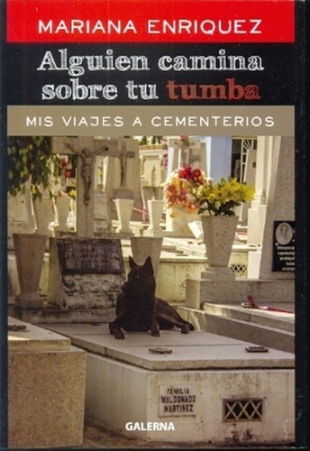 Alguien Camina Sobre Tu Tumba - Mariana Enriquez
