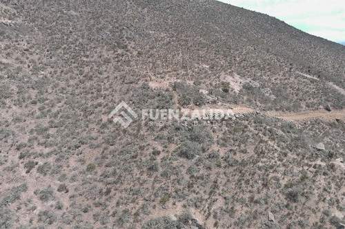 22 Parcelas De 5,000 M2 En Venta El Hinojal,valle De Elqui.