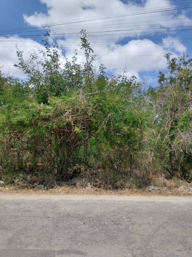 Imagen 2 de 6 de Terreno En Venta En Conkal A 10 Mins De Merida. Construye Ahora.
