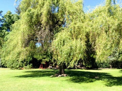 Imagen 13 de 14 de Alquilo Quinta 3000 Mts2,c/caseros, Asfalto,2 Cuadras Acceso, Canchas Fútbol, Volley, Fútbol Tenis, Wifi, Direct Tv. Pileta 10x 6, Solárium.