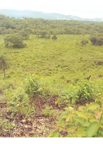 Imagen 12 de 15 de Finca En El Paguey, Barinas En Venta