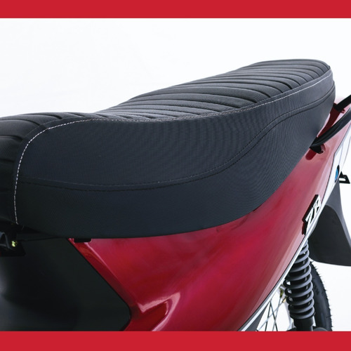 Zanella Zb 110 Lt - Unico Moto Canning