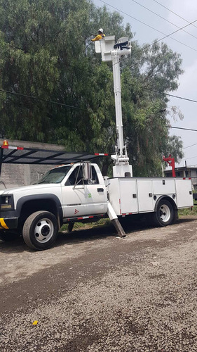 Imagen 9 de 10 de Renta De Gruas Con Canastilla Telescopica Y Articuladas