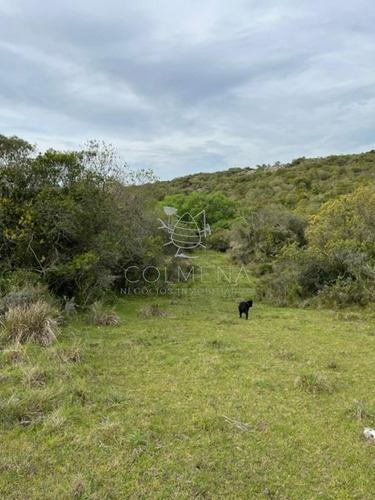 Imagen 7 de 11 de Campo En Carape - Con Hermosa Cañada - Oportunidad !!!!! - Zona Rural