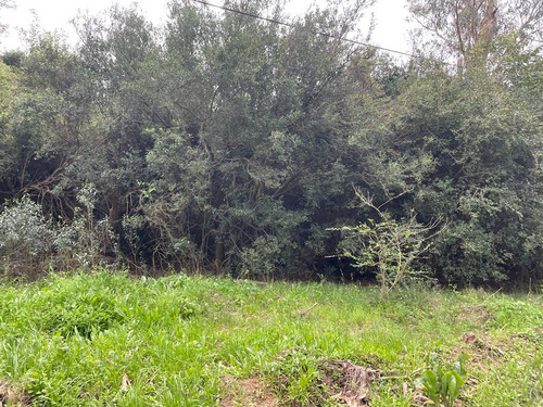 Venta Terreno Punta Del Este