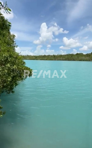 Fabulosos Terrenos A Pie De La Laguna De Siete Colores En Bacalar!!