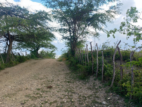 Finca De Venta En El Sector Platanal, La Canela, Santiago