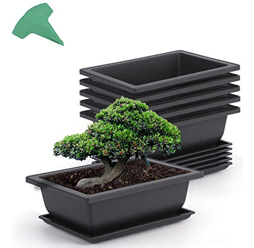 6 Packs 9 Inches Bonsai Training Pots With 15 Pcs Plant...