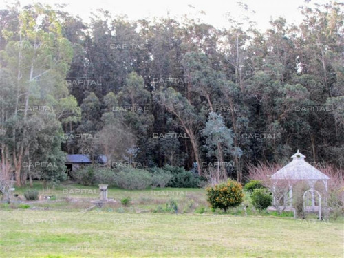 Imagen 18 de 30 de Espectacular Chacra En Manantiales Venta- Ref: 26517