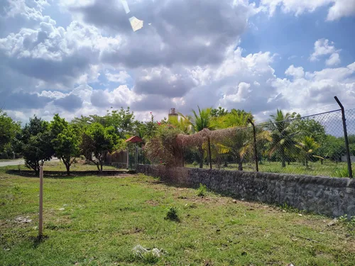 Lote De 5000m2 Santo Tomas (cm&d142).
