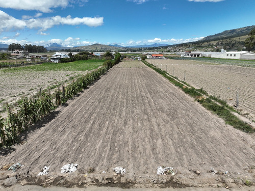 Terreno Sector Cunchibamba Ambato Salcedo - 8000 M2